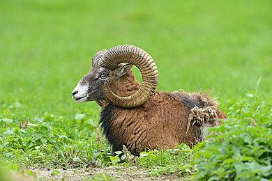 《街头霸王6》发售两周年销量突破500万份