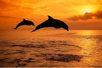 《最终幻想起源：天堂的陌生人》PC移植版翻车了