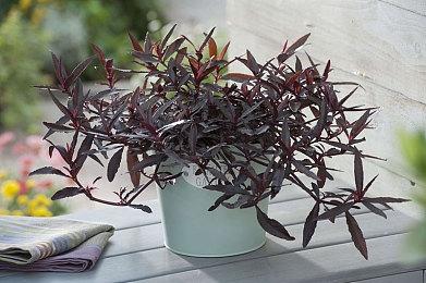 《星际战甲》资料片“双衍悖论”27分钟实机演示赏